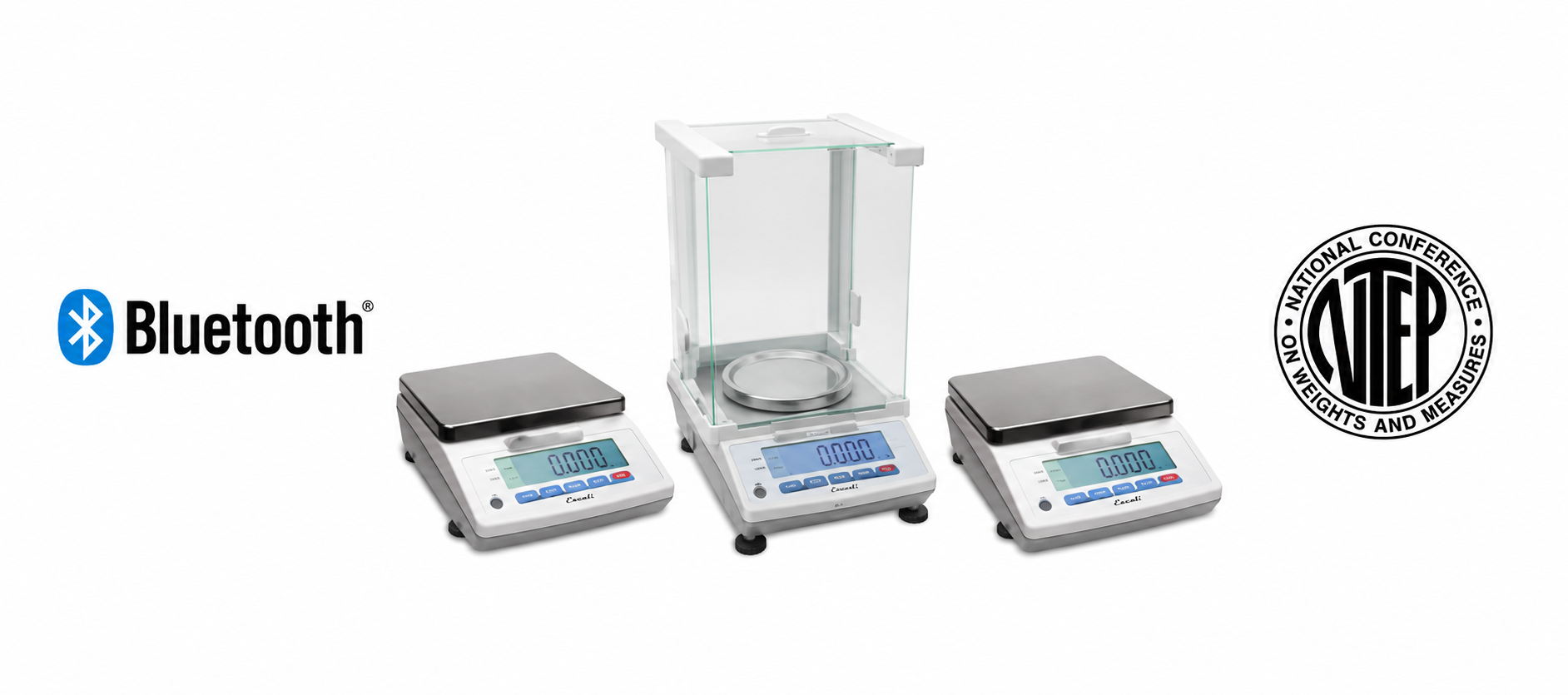 mG-S Series Scales