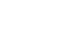 BlueBird Logo