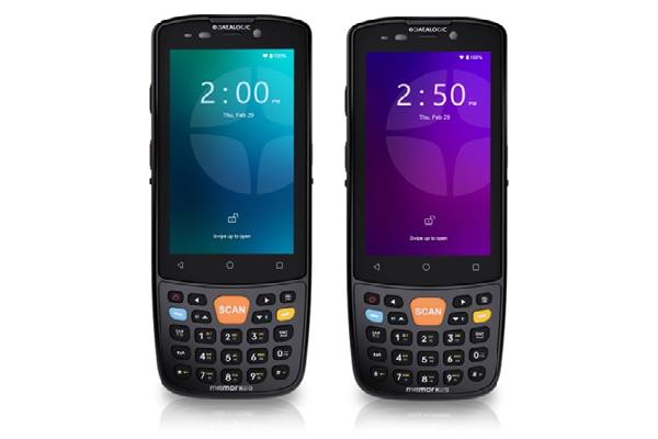 PSL_Memor K_2025_Q4