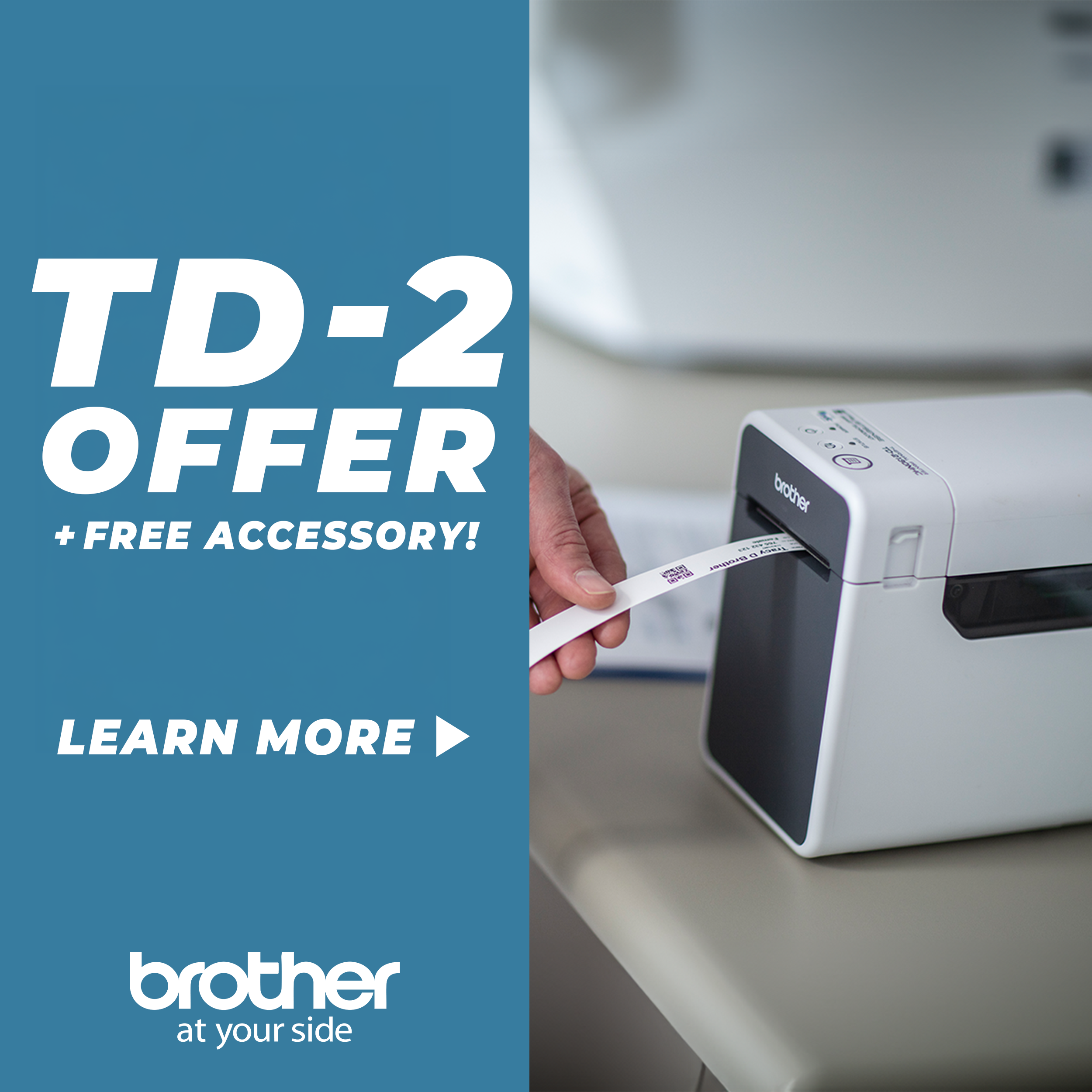 Td4 Promo pic
